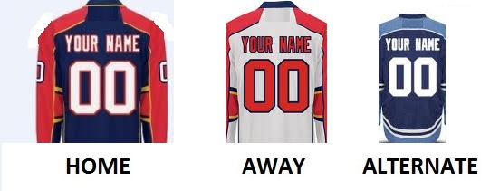 (image for) FLORIDA Pro Hockey Number Kit - Click Image to Close